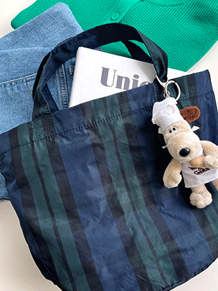 BB check tote bag