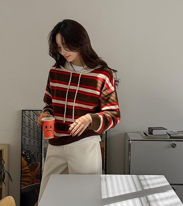 Andy Striped Wool Hooded Knit 