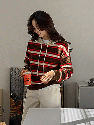 Andy Striped Wool Hooded Knit 