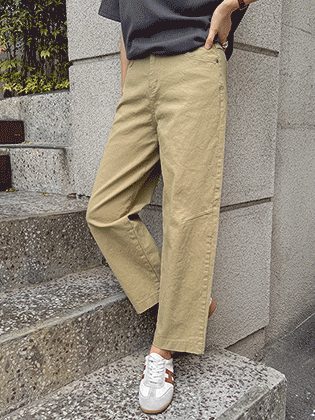 Fog Dart Cut Baggy Pants