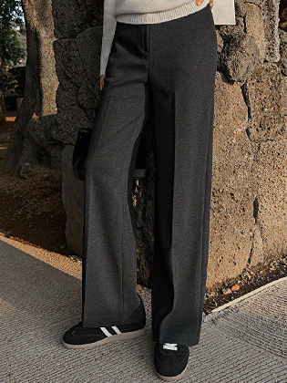 Elue Hidden Banding Wide Slacks